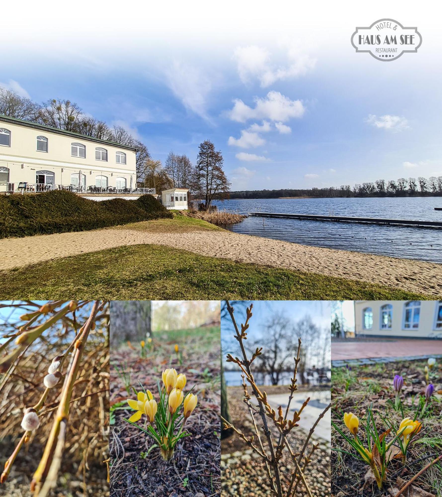 Hotel & Restaurant Haus Am See Locknitz Bagian luar foto