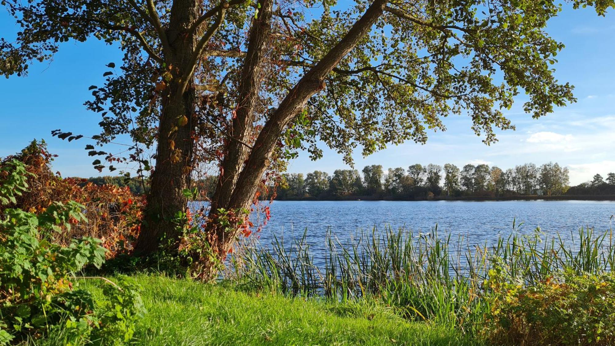Hotel & Restaurant Haus Am See Locknitz Bagian luar foto
